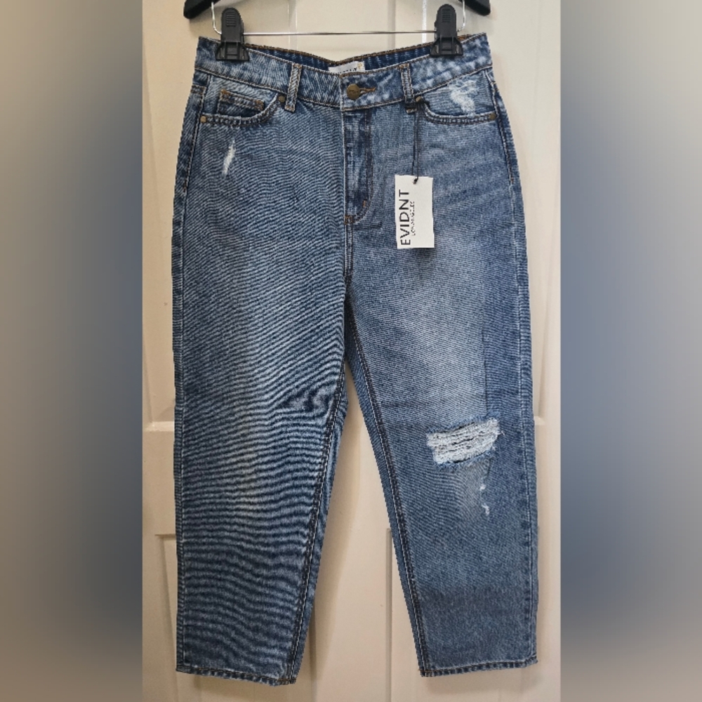Anrhropologie EVDNT Los Angeles Malibu Boyfriend Distressed Denim Bag Size 26